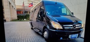 Sprinter Executive Cowry