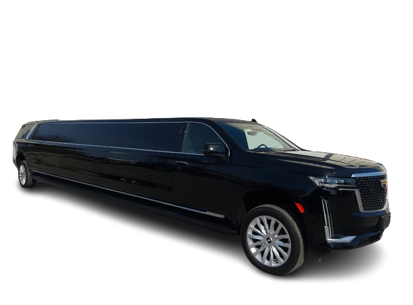 IMG 1527 Removebg Preview